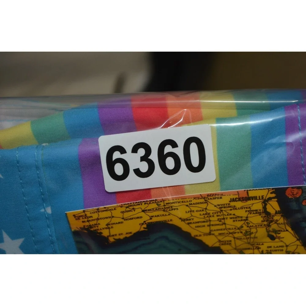Chubbies Shorts Mens Small Rainbow Flag Swim Trunks Mesh Lined 4